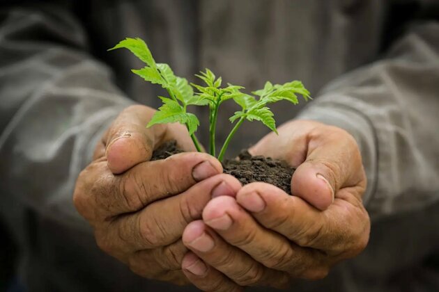 43791_2400x1600px_W1278xH0